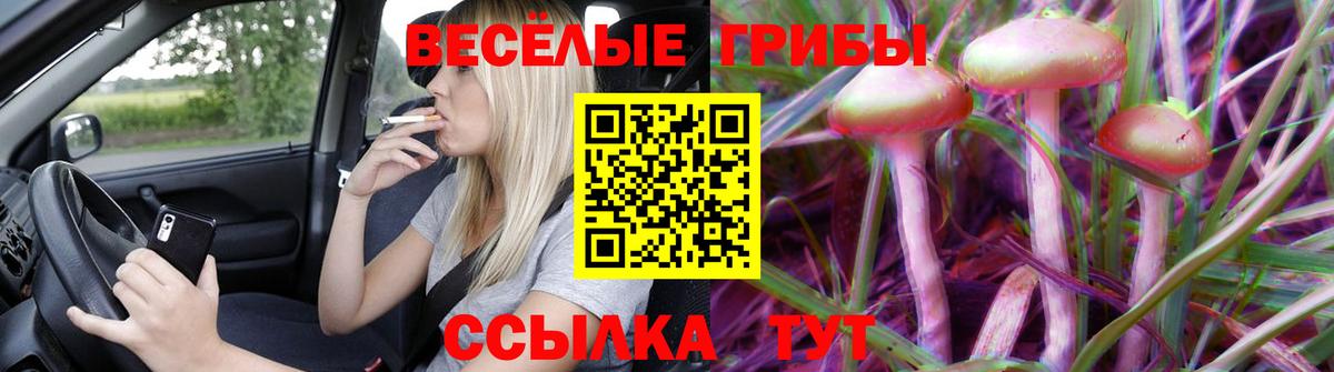 Жуковский  Псилоцибиновые грибы GOLDEN TEACHER  Вход с VPN  Псилоцибиновые грибы Magic Shrooms 